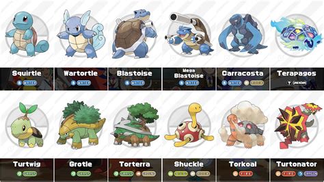 turtle pokemon evolution|Every Turtle In Pokémon .